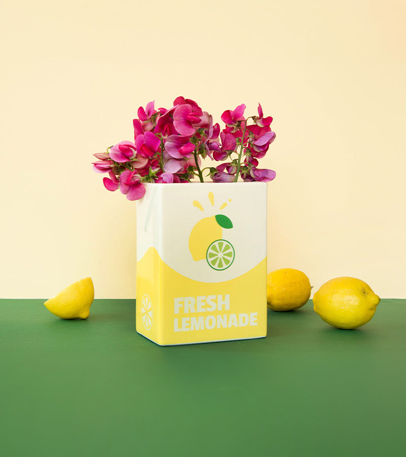 L'avant gardiste Vase Fresh Limonade brique déco pop