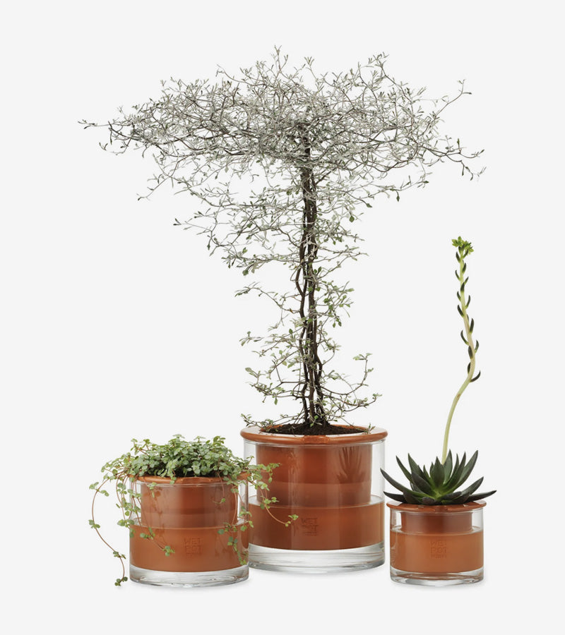 L'avant gardiste Wet Pot pot céramique intelligent moyen réserve eau