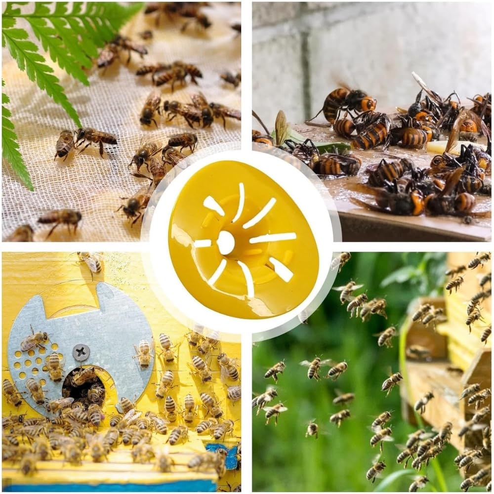 Shop-Story Maison piège à guêpes Wasp Trap lot de 12