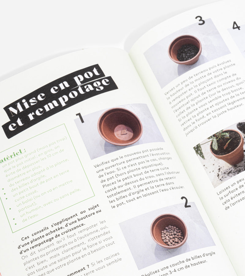 L'avant gardiste Livres Comment ne pas faire crever ses plantes guide