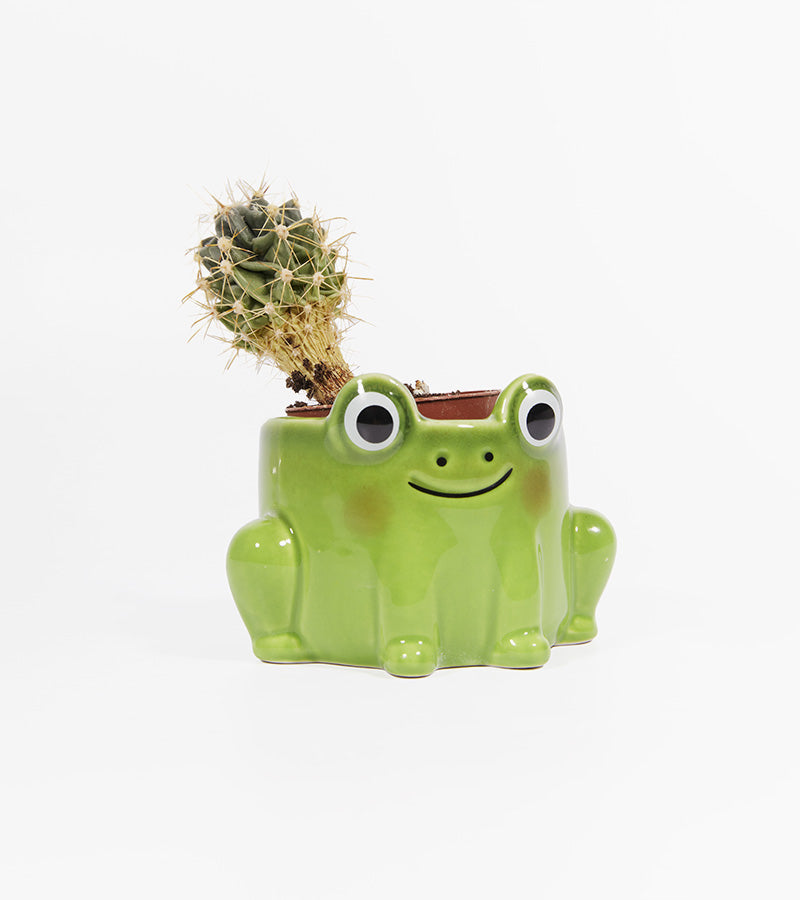 L'avant gardiste Pot plante grenouille cache-pot céramique