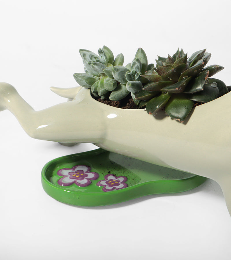 L'avant gardiste Chien qui fait pipi cache-pot humour