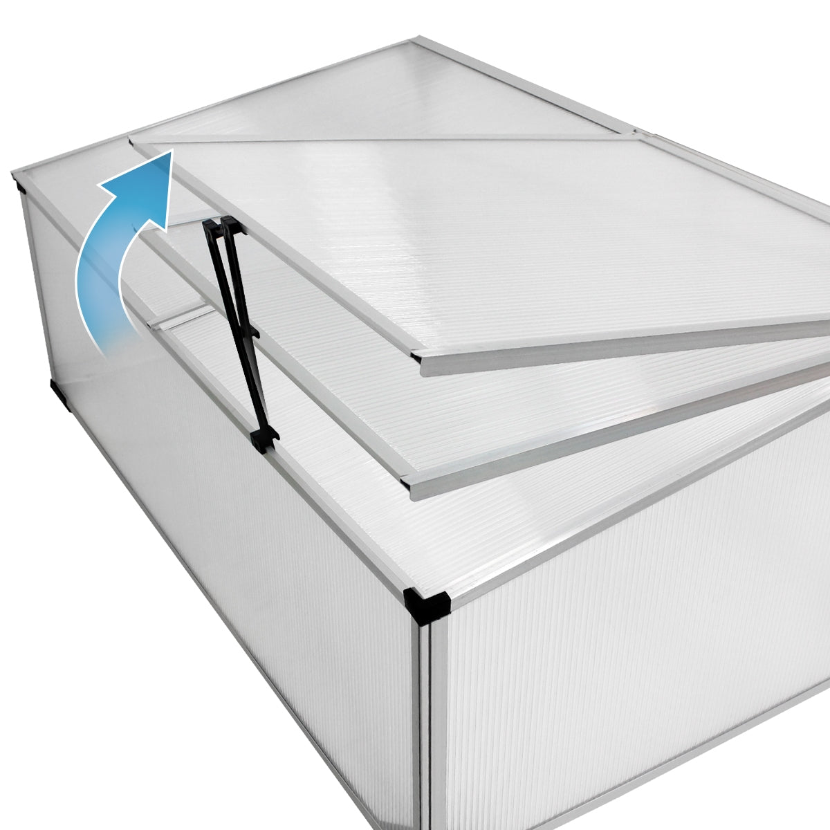 ECD Germany Garten Mini serre châssis 100x60x40 cm alu polycarbonate