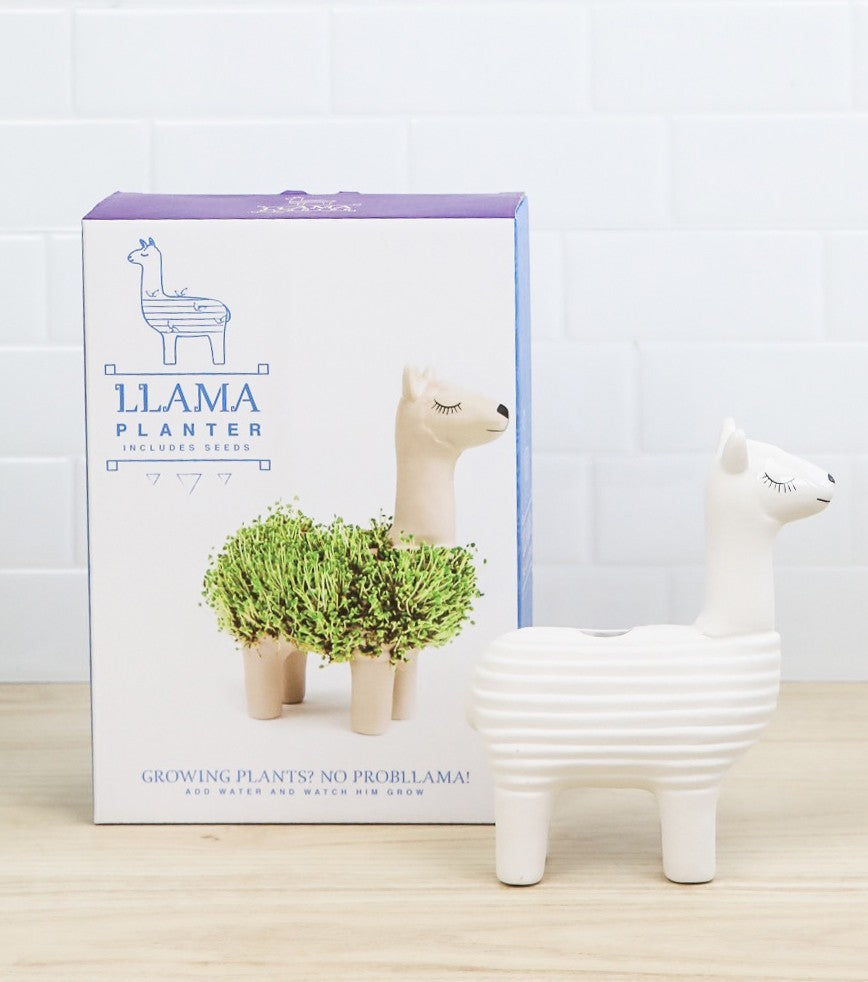 L'avant gardiste DIY Lama à faire pousser graines de chia