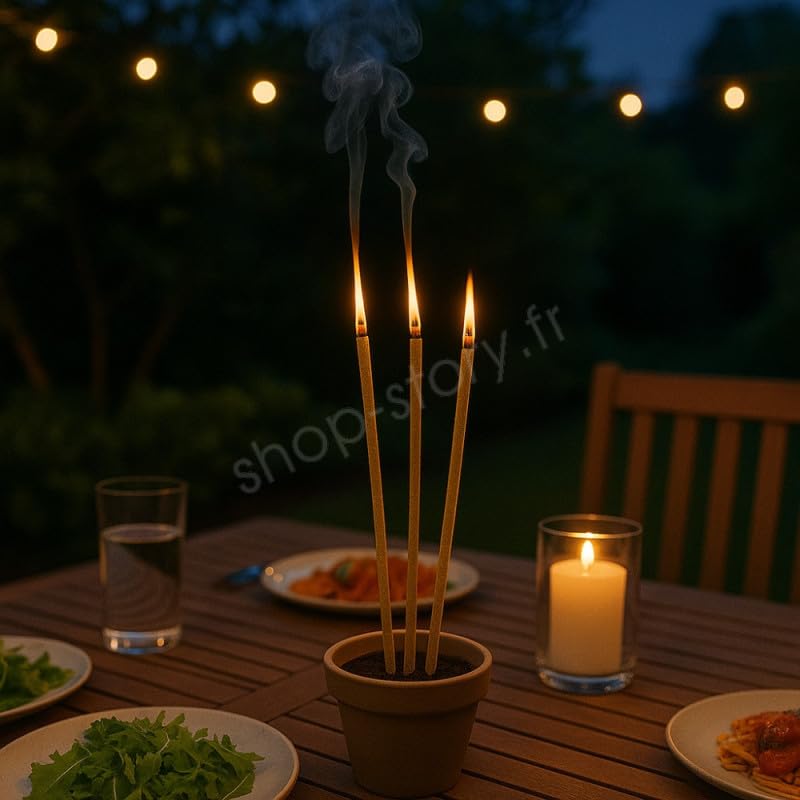 Shop-Story Maison encens géant citronnelle 60 bâtons 40 cm anti-moustique