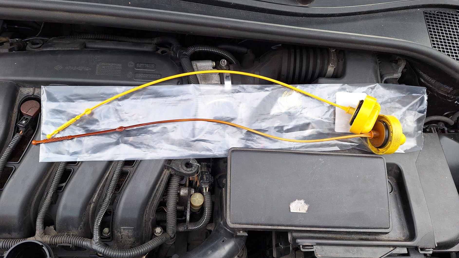 Shop-Story Bricolage & Auto Jauge à huile 82004495528 Clio 2