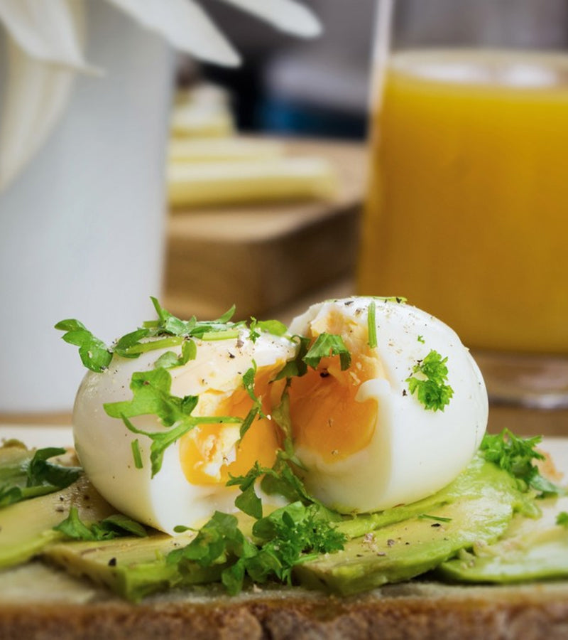 L'avant gardiste Oeuf-minuteur poussin minuteur œuf musical