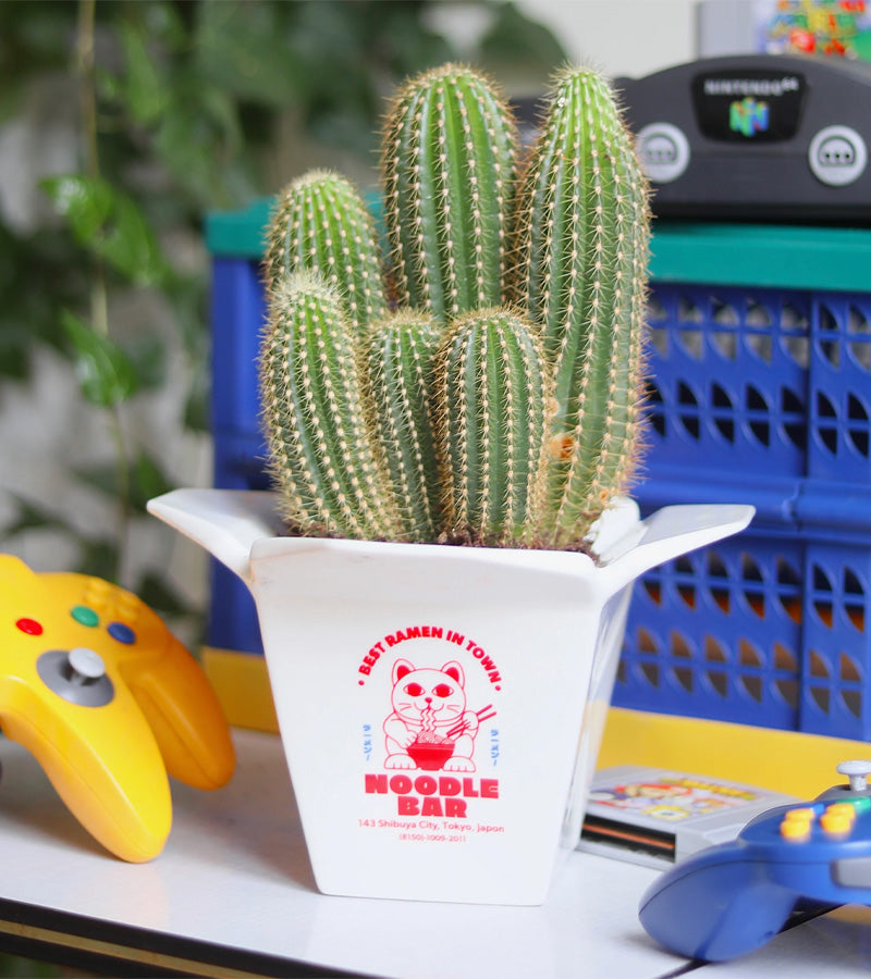 Pot à plantes Ramen cache-pot déco cuisine
