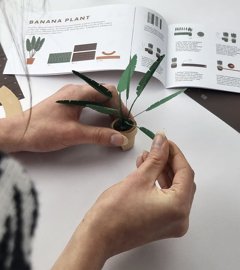 L'avant gardiste Plantes en papier DIY jungle sans arrosage