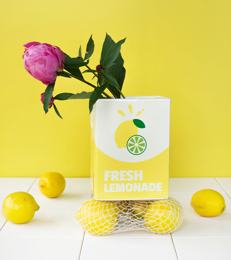 L'avant gardiste Vase Fresh Limonade brique déco pop