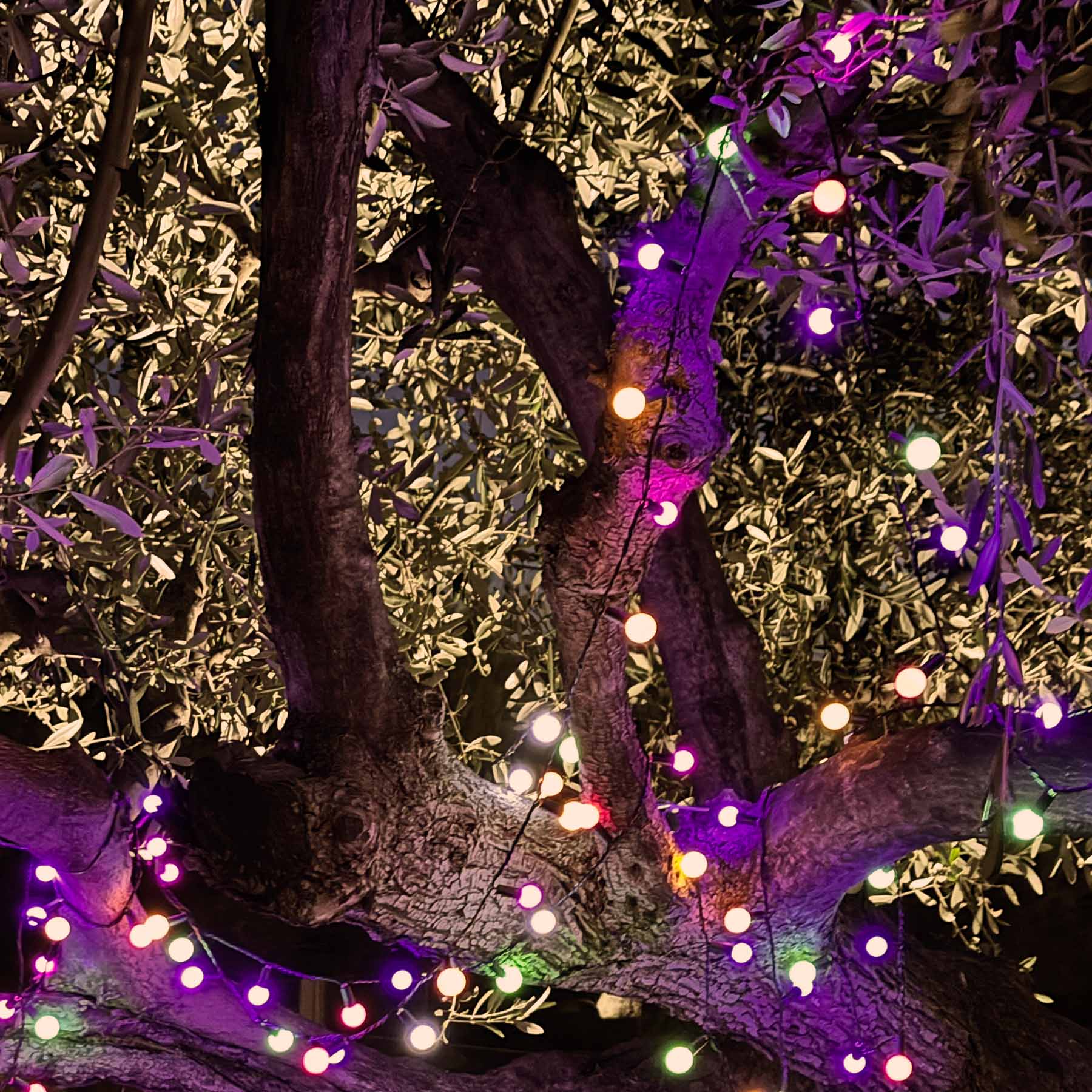 Red Deco Billy RGB lot 2 guirlandes solaires 8m multicolore