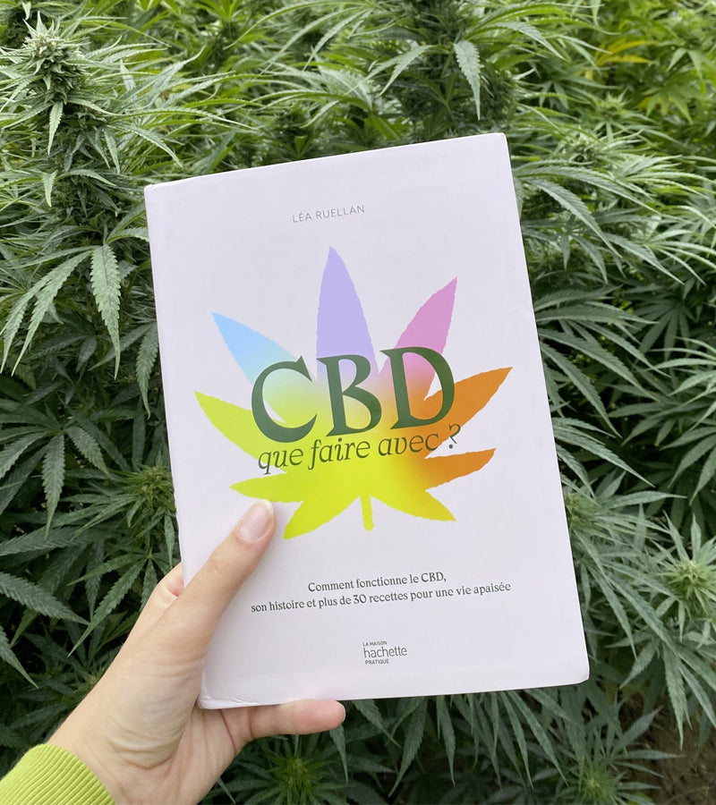 L'avant gardiste CBD que faire avec ? livre recettes humour