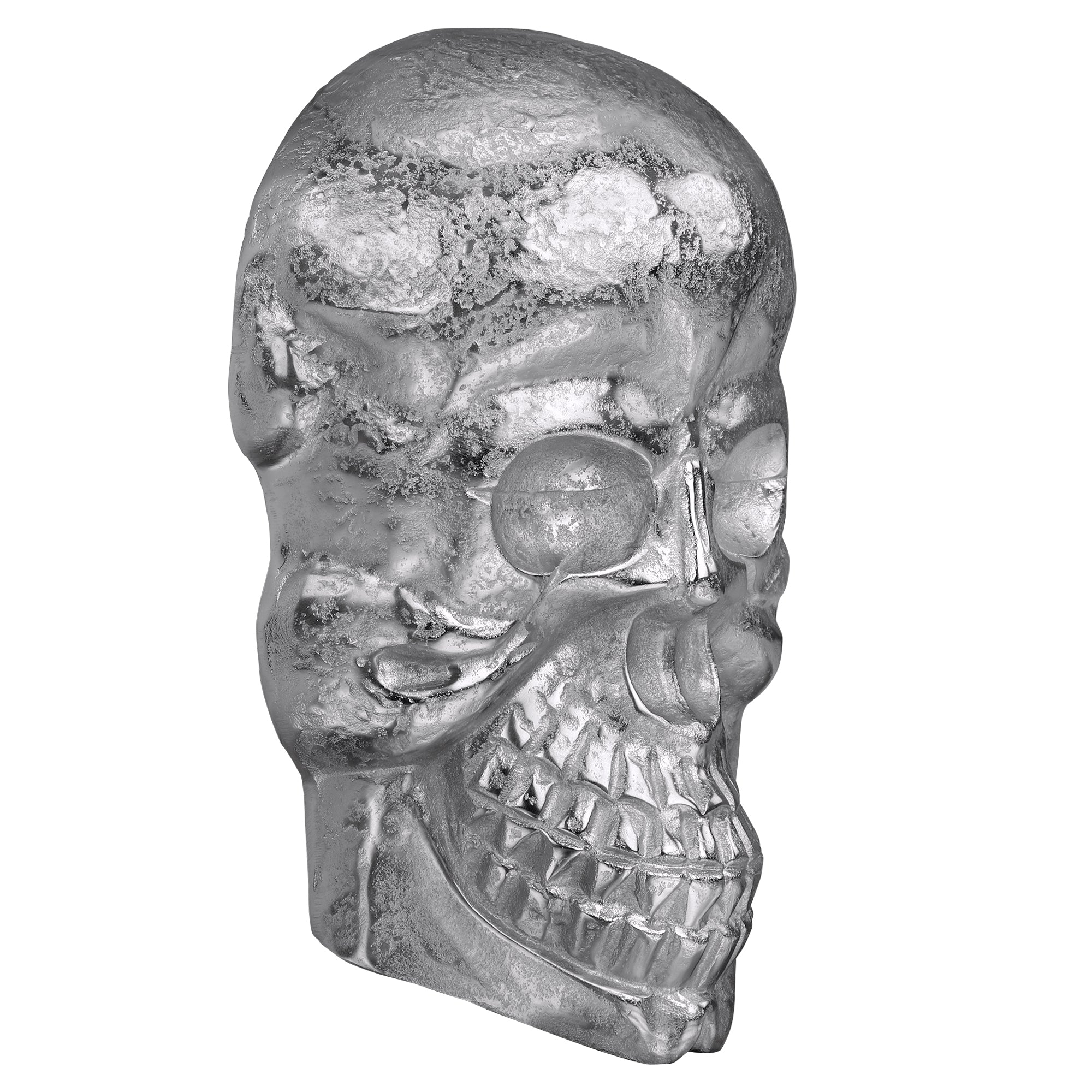 ECD Germany Haus Wohnen skull argent 42x30 cm aluminium mural