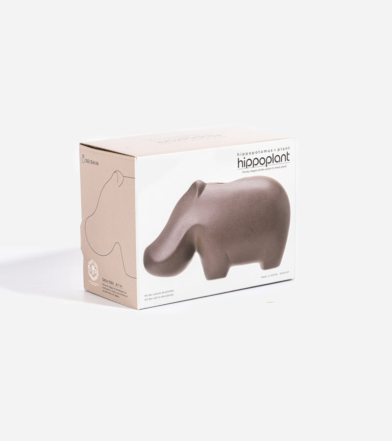 L'avant gardiste DIY Hippoplant hippopotame plante à faire pousser
