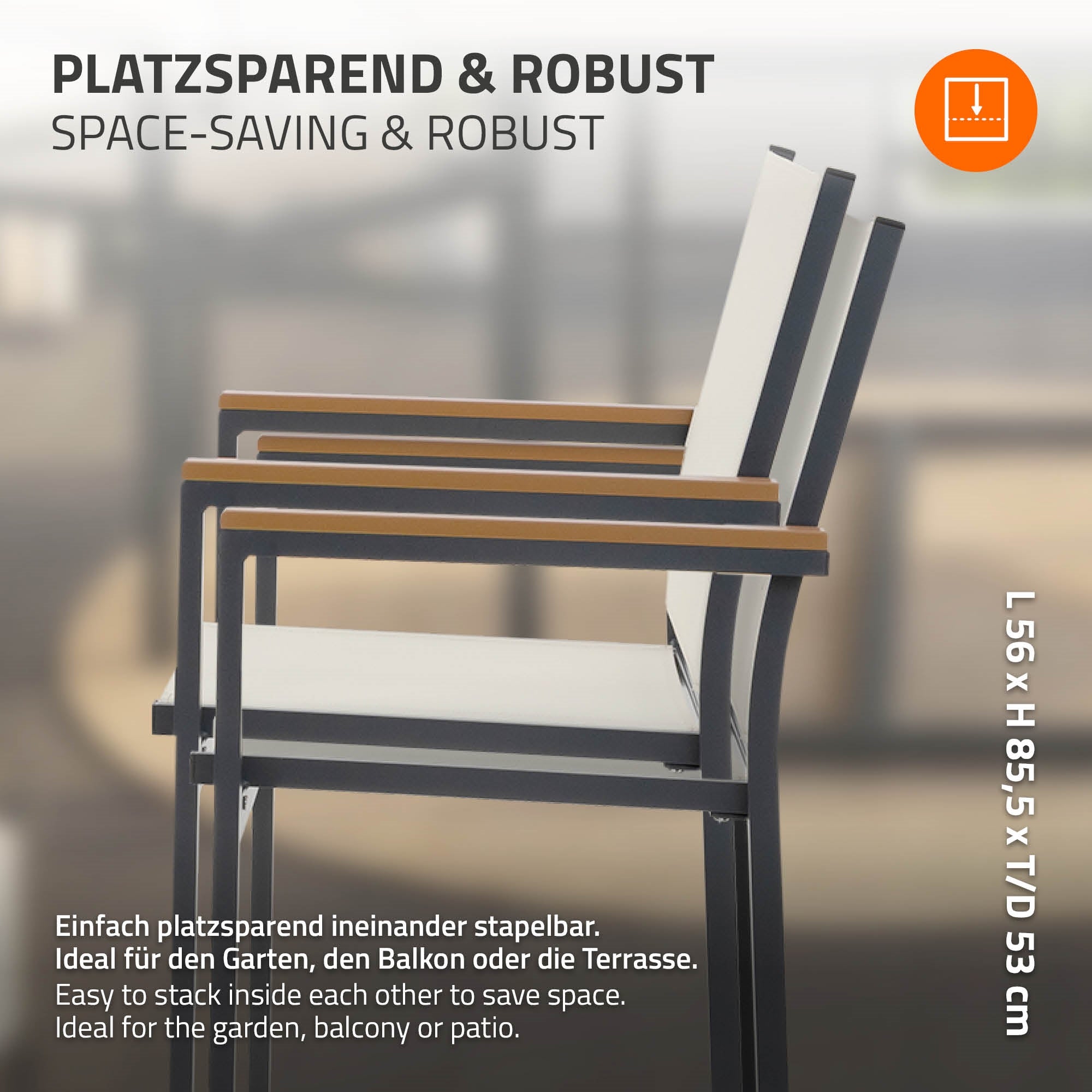 ECD Germany Garten lot 2 chaises jardin beige textilène alu
