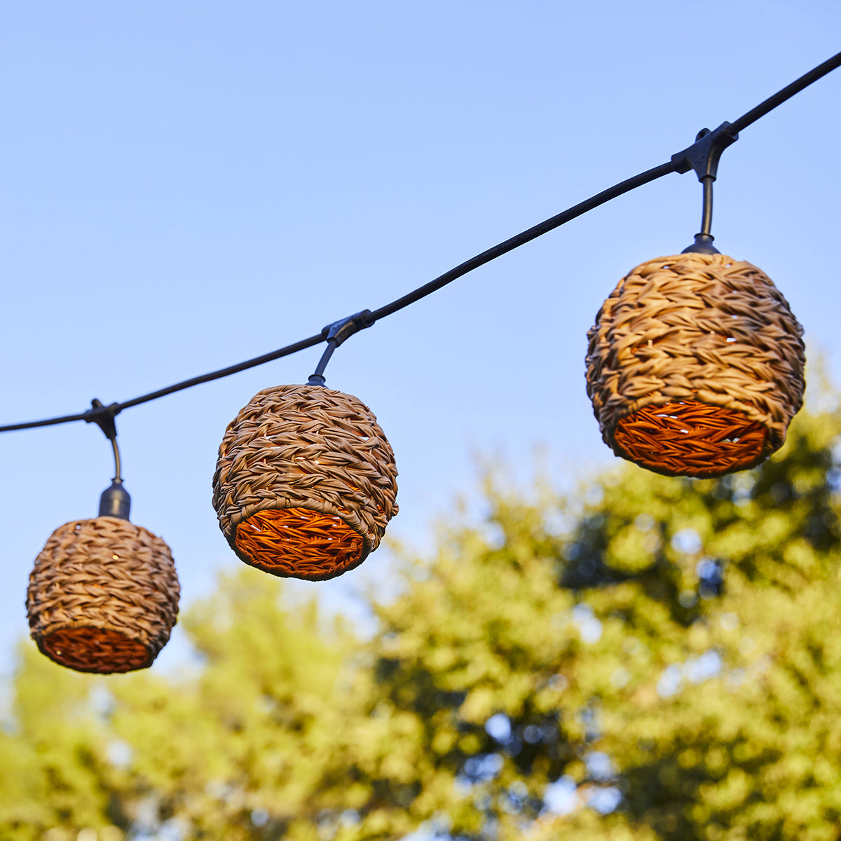 Red Deco Pine Light guirlande 6m rotin 7 ampoules blanc chaud
