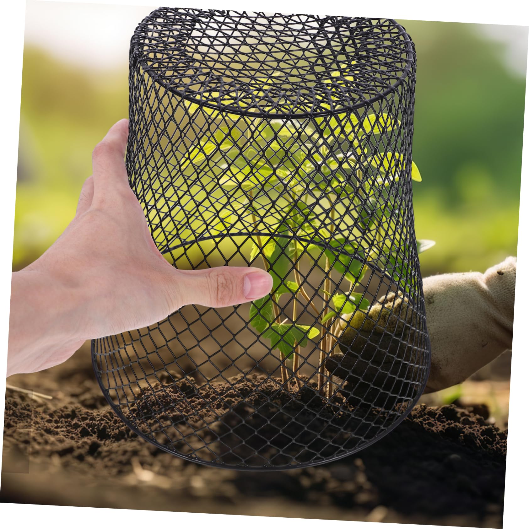 Milisten cage protection plantes fer 23 cm lot 4 réutilisable