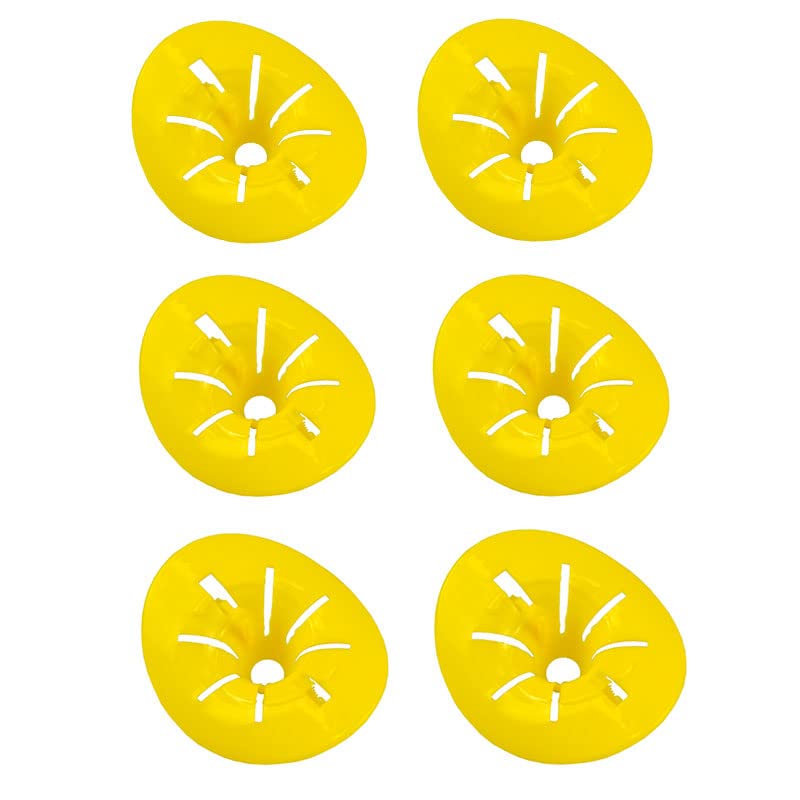 Shop-Story Maison Wasp Trap Piège Guêpes x6 Piège Bouteille Écologique
