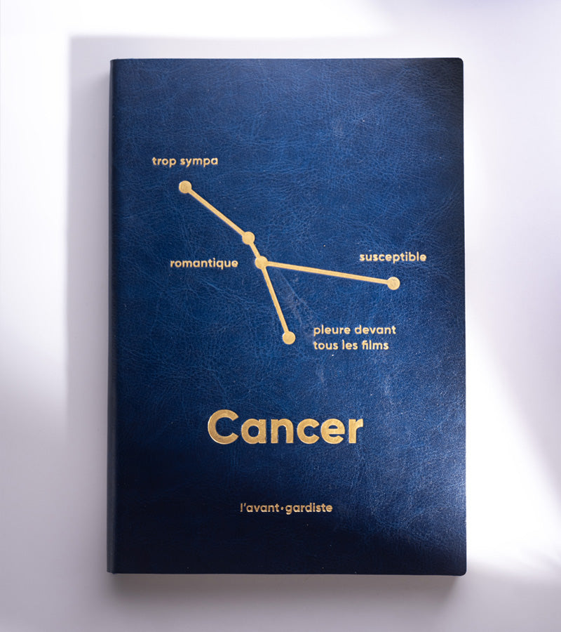 L'avant gardiste Livres Carnet astro Bélier ligné
