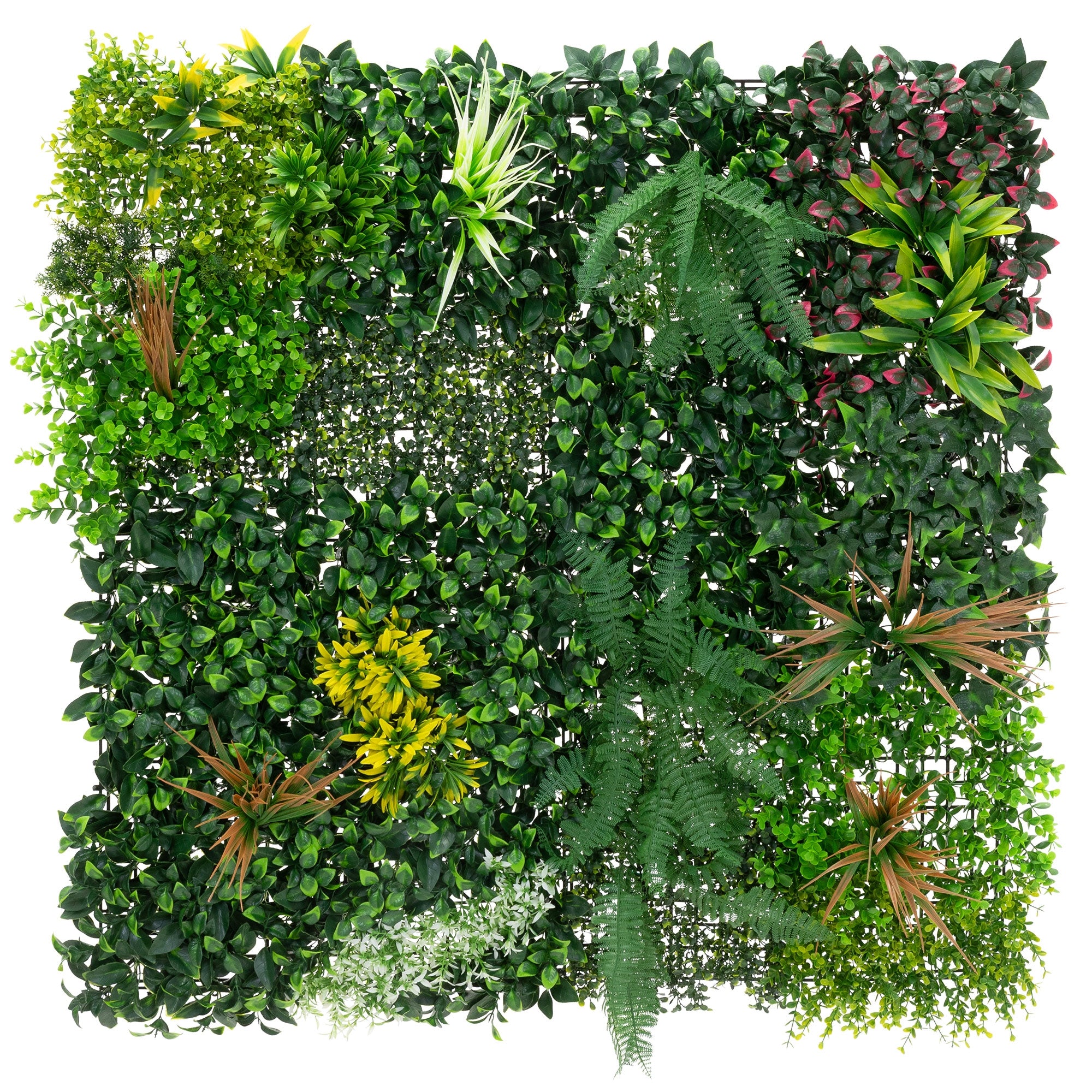 ECD Germany Haus panneau végétal 100x100cm Jungle Mix UV