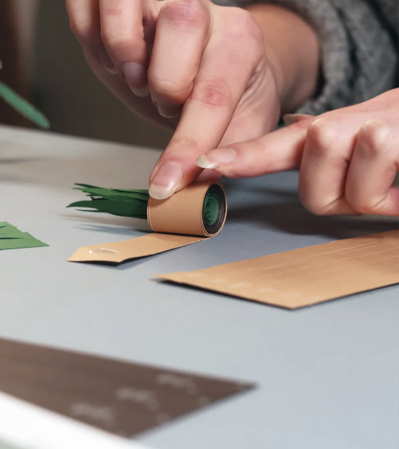 L'avant gardiste Plantes en papier DIY jungle sans arrosage