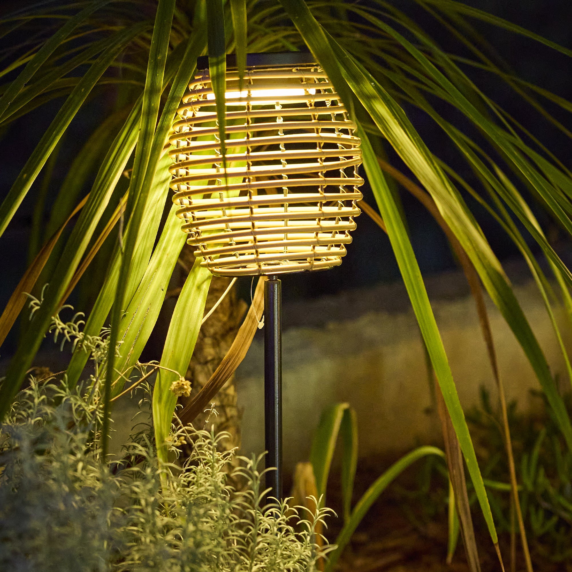 Red Deco Bavina H71,5cm lot 2 balises solaires rotin