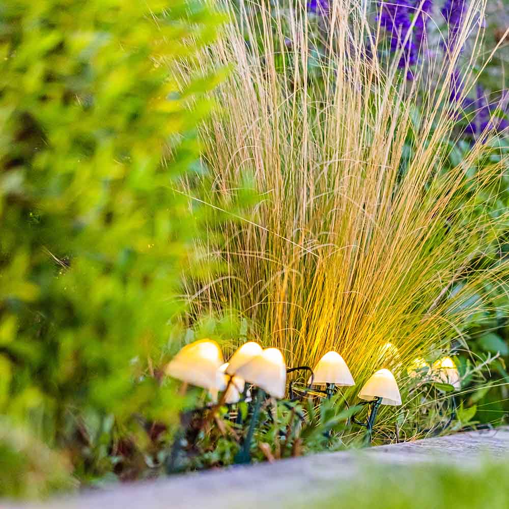 Red Deco Champy 10 champignons solaires LED blanc chaud 3,8m