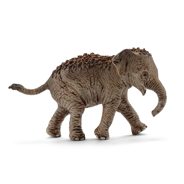 Schleich Wild Life éléphanteau d'Asie figurine