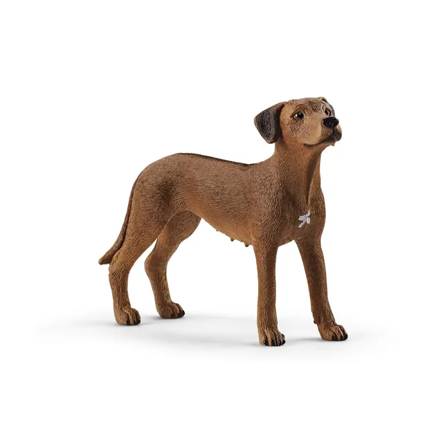 Schleich Farm World figurine chien de Rhodésie jouet enfant