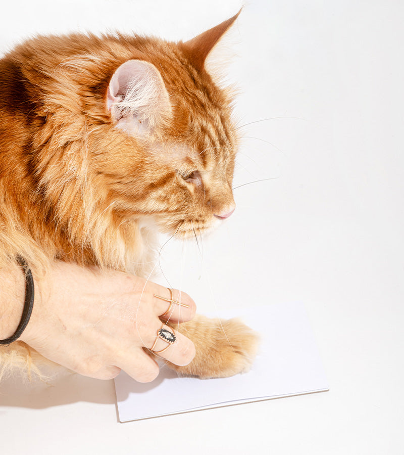 L'avant gardiste Lifestyle Kit Empreintes Chiens et Chats