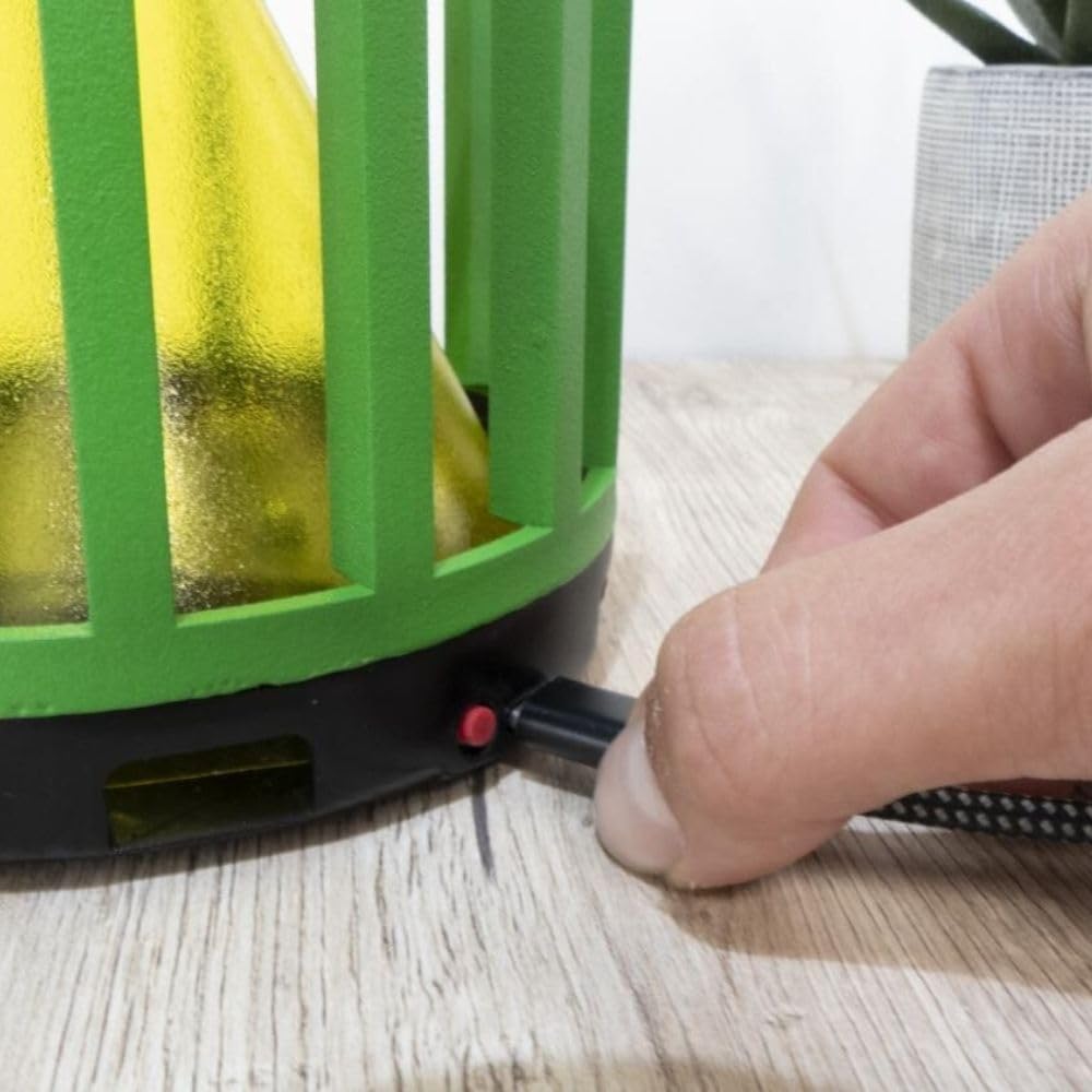 Shop-Story Maison CactusTrap Lanterne Piège Insectes USB