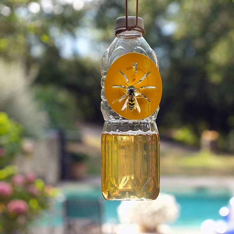 Shop-Story Maison Wasp Trap Piège Guêpes x6 Piège Bouteille Écologique