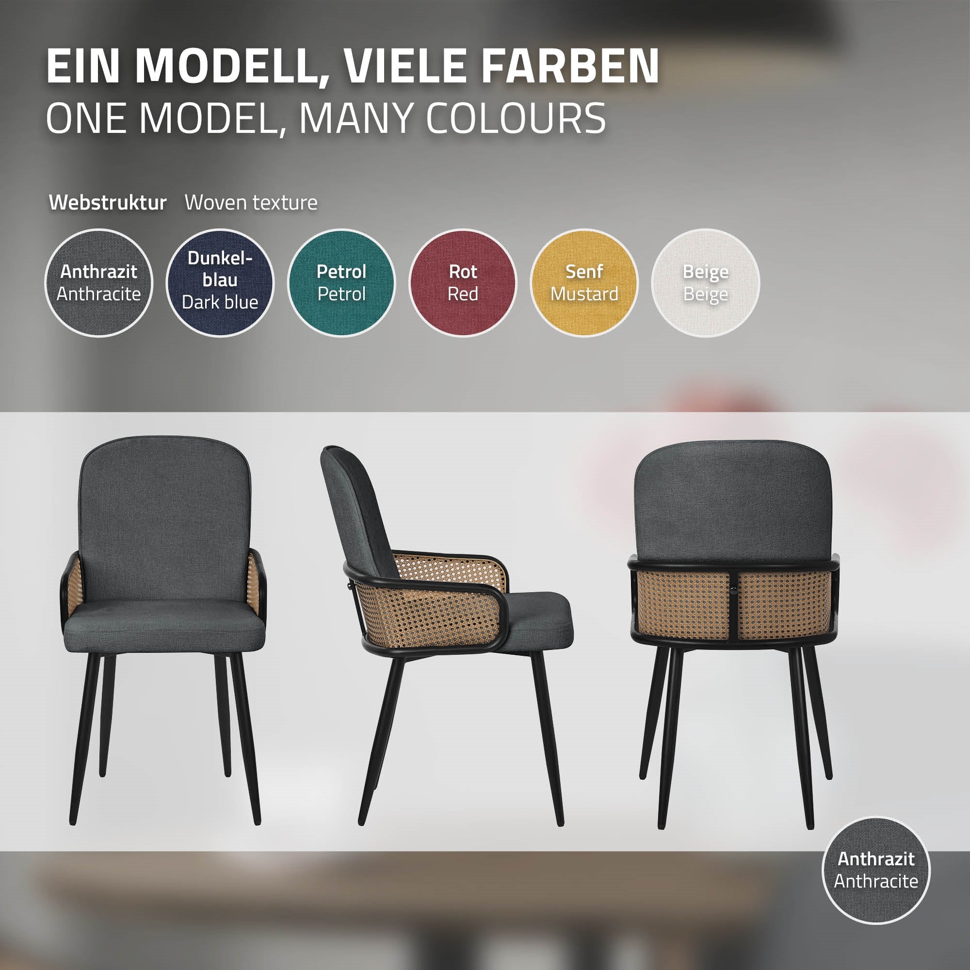 ECD Germany Möbel lot 6 chaises salle à manger anthracite rotin