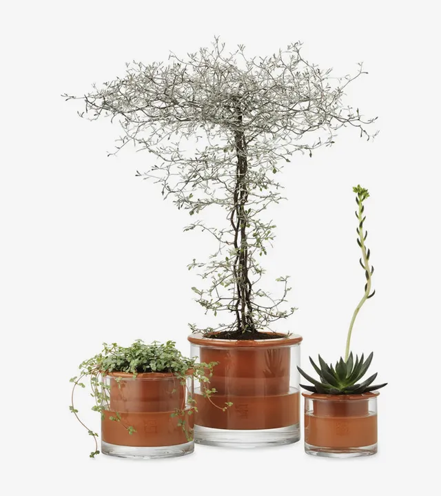 L'avant gardiste Wet Pot pot céramique intelligent moyen réserve eau