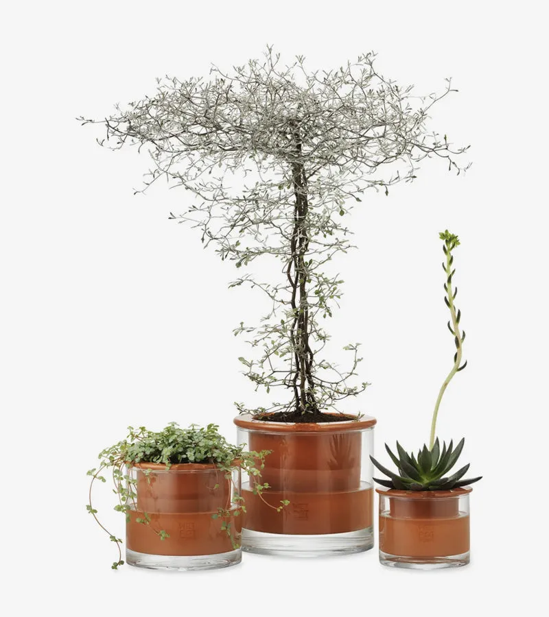 L'avant gardiste Wet Pot pot céramique intelligent moyen réserve eau