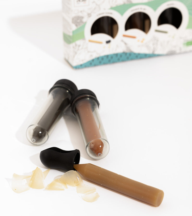 L'avant gardiste Épicerie Kit crayons assaisonnement à tailler nature