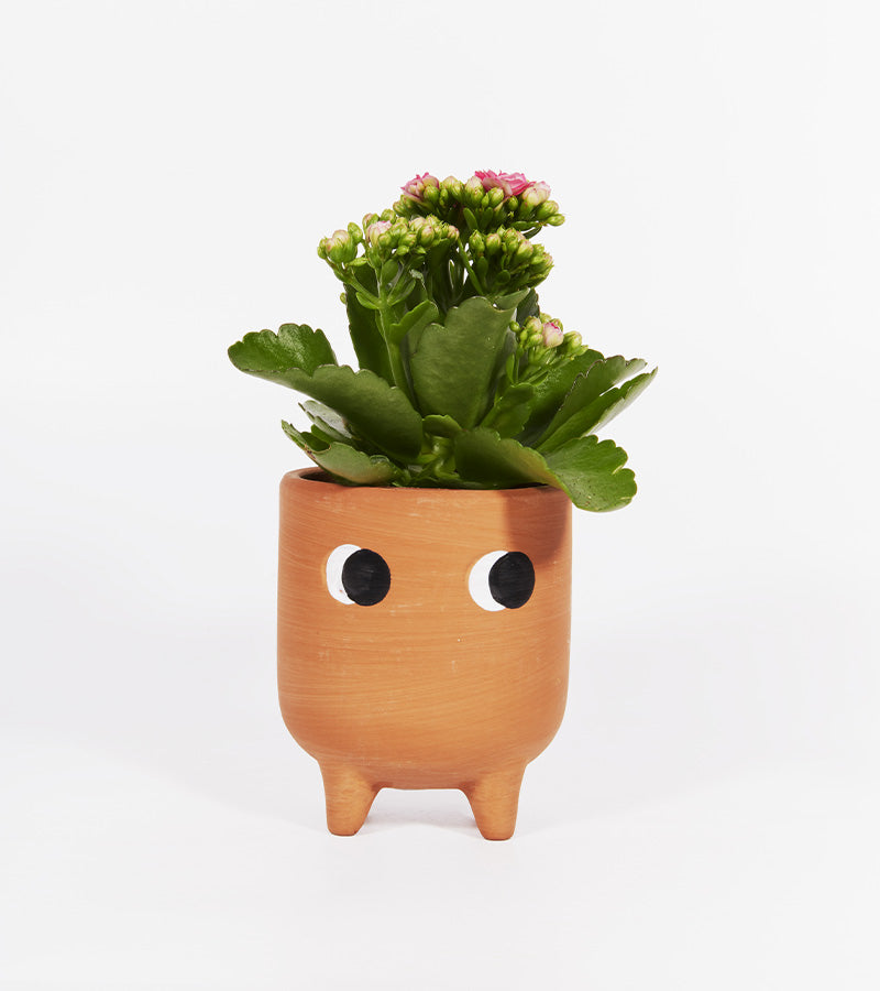 L'avant gardiste Vases et cache-pots Petit cache-pot terre cuite yeux