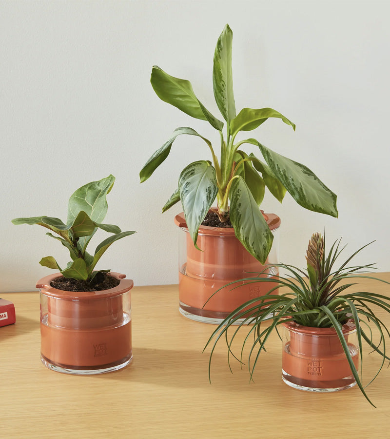 L'avant gardiste Wet Pot pot céramique intelligent moyen réserve eau