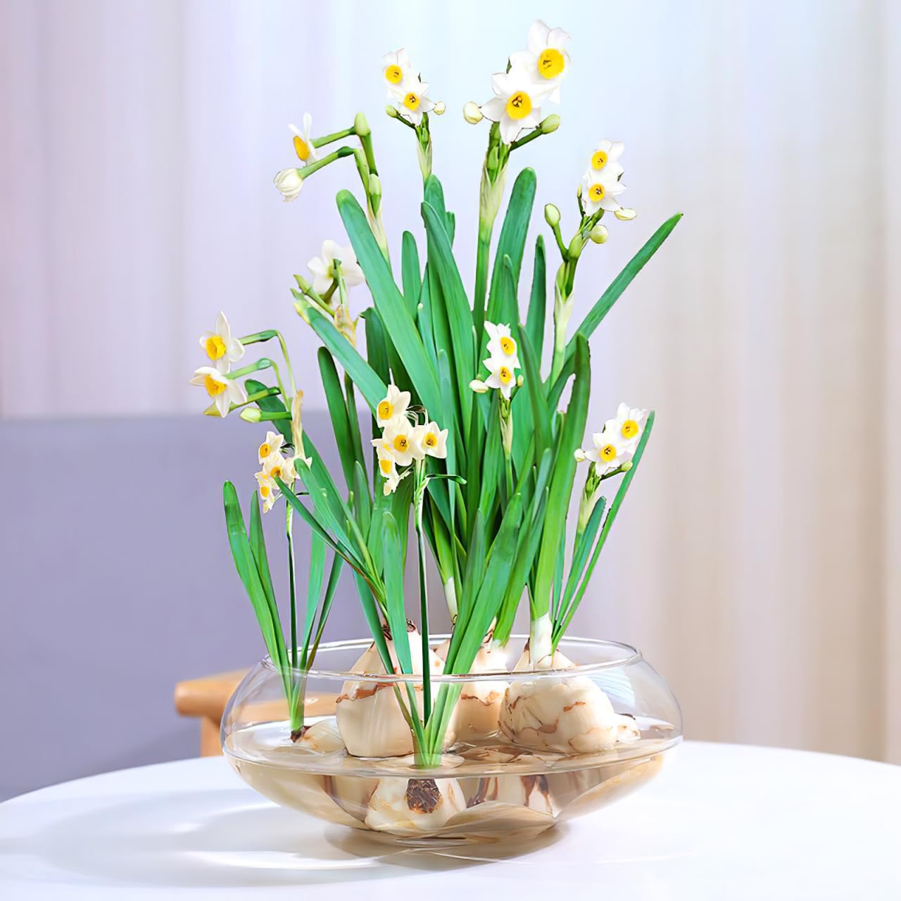 Milisten Pet Supplies Bol Incassable 24cm aquarium vase 2800ml