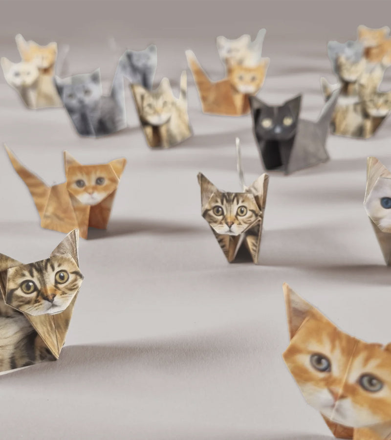 L'avant gardiste Mini-origamis Chats kit papier DIY
