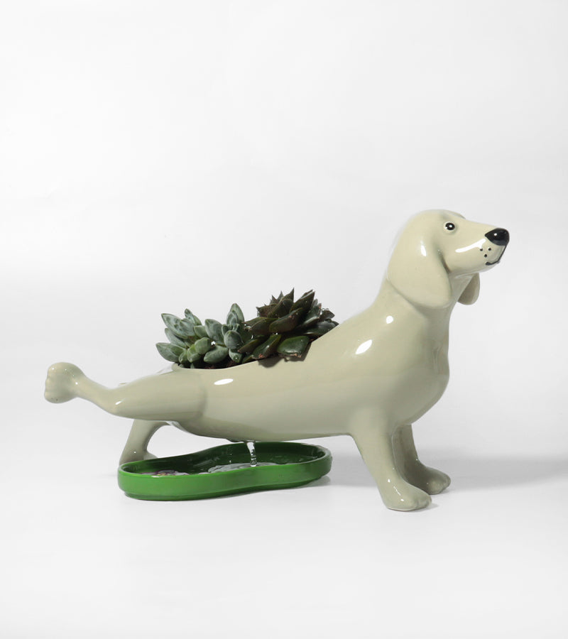 L'avant gardiste Chien qui fait pipi cache-pot humour