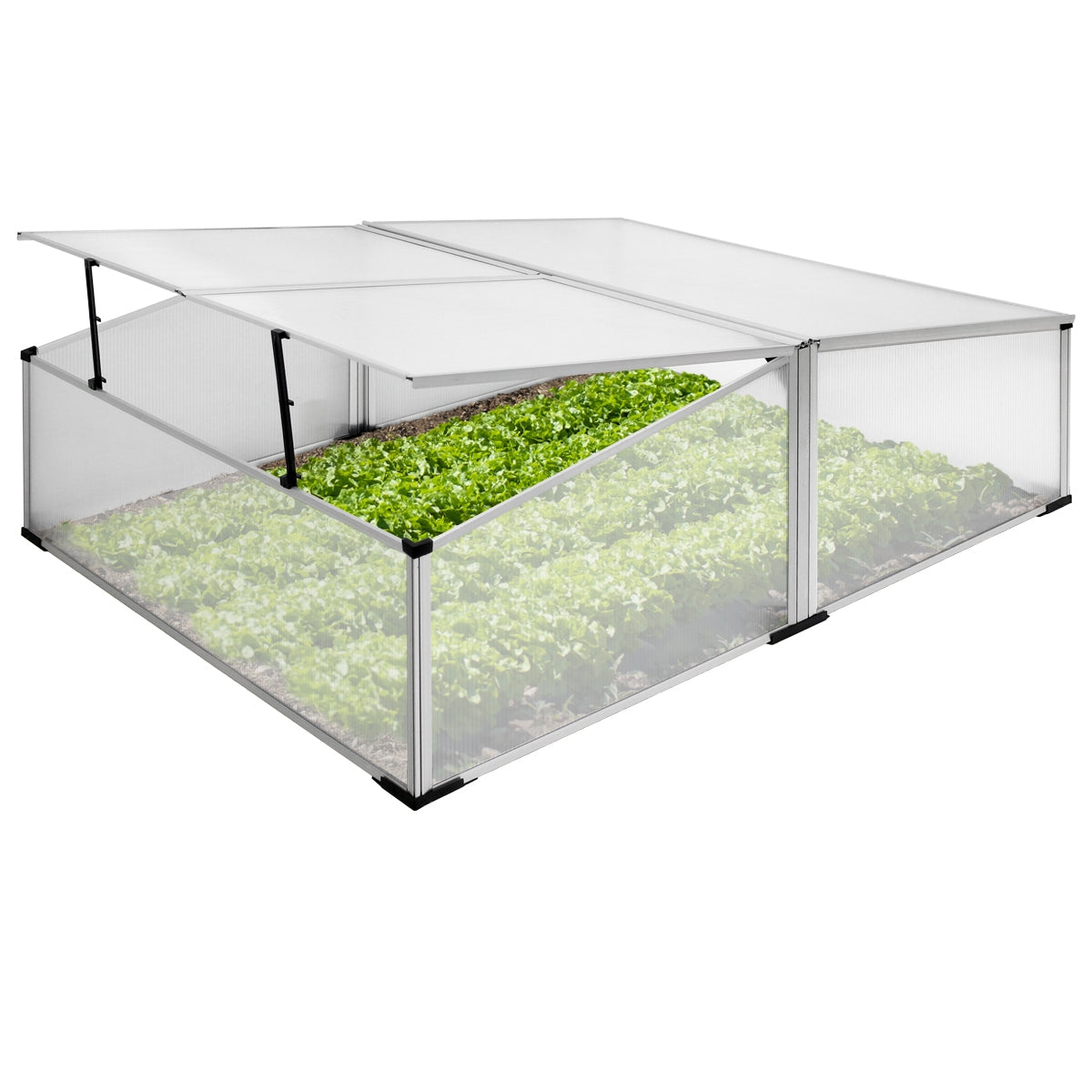 ECD Germany Garten double châssis serre de jardin 100x120 cm polycarbonate