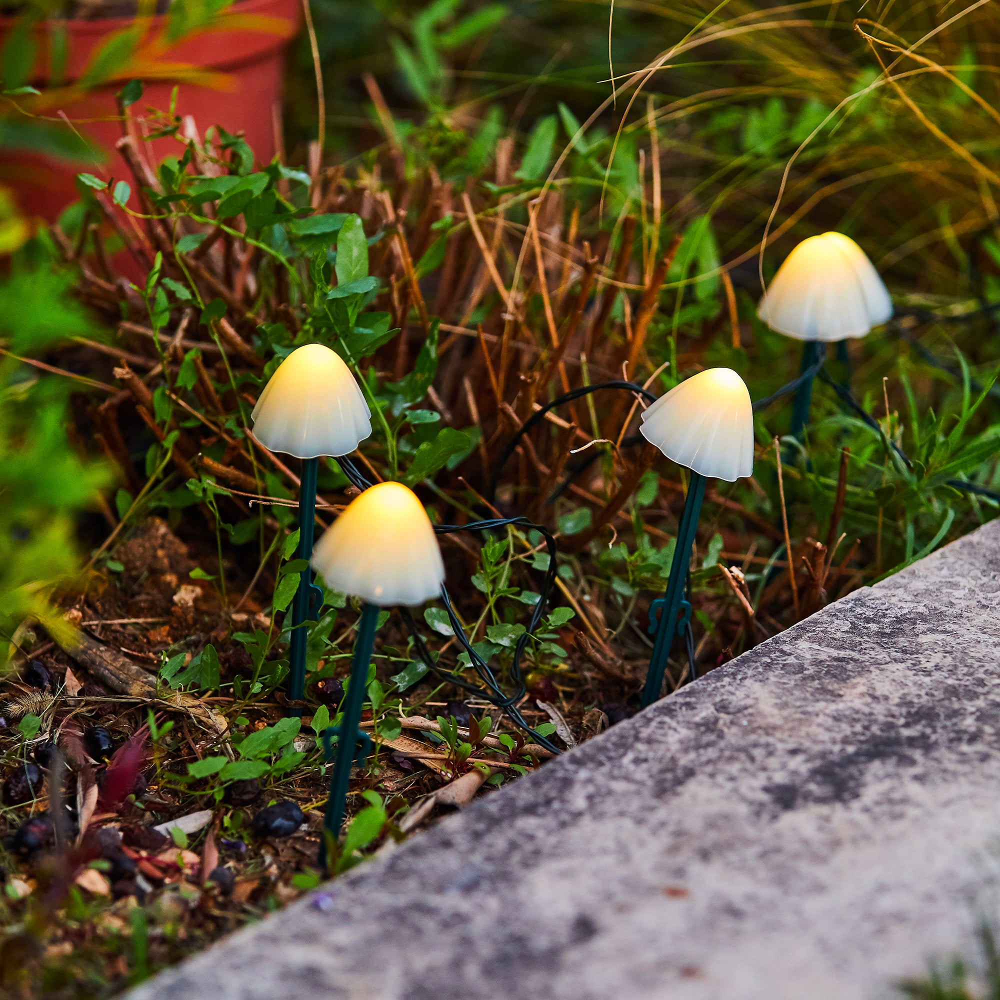 Red Deco Champy 10 champignons solaires LED blanc chaud 3,8m