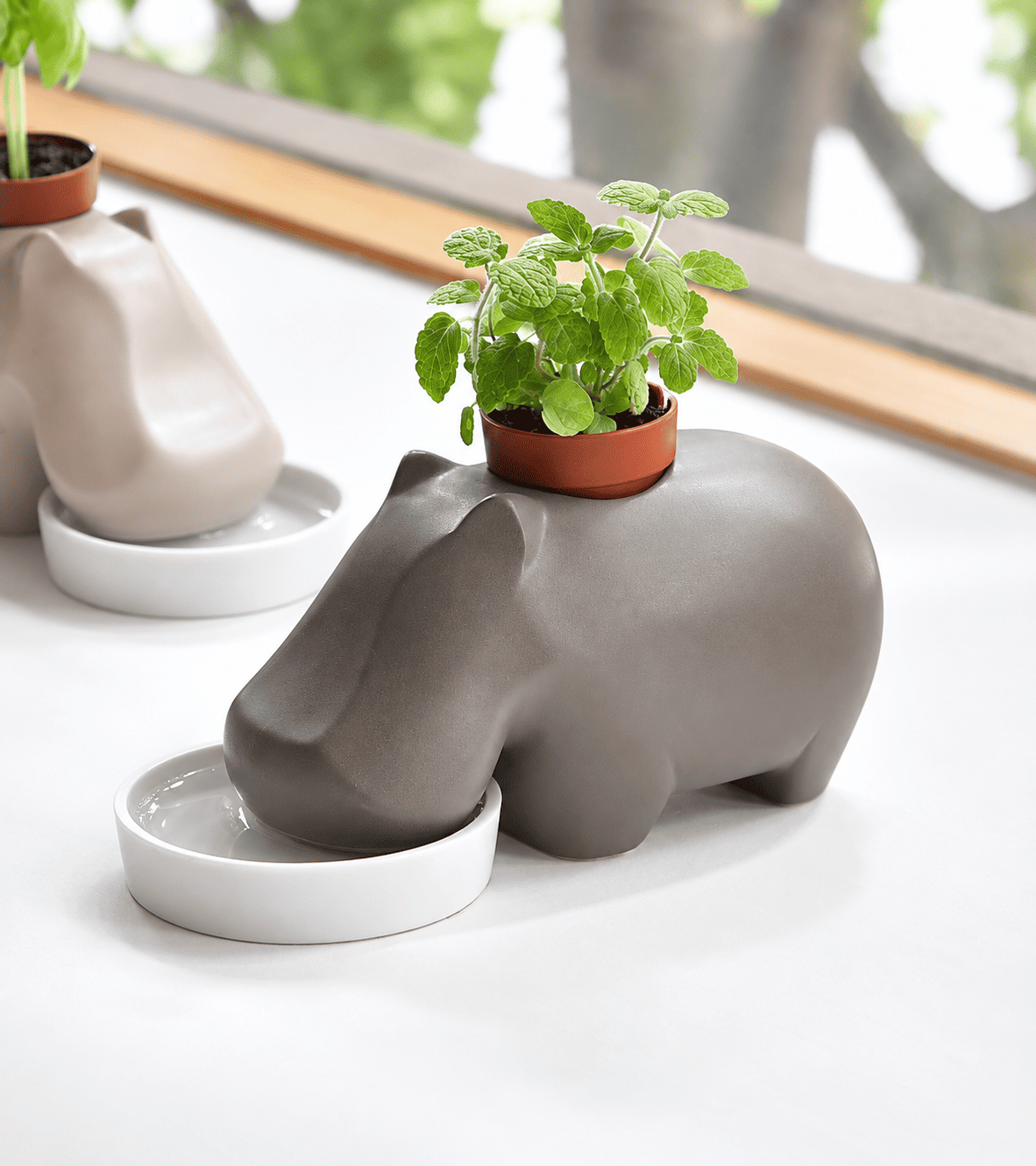 L'avant gardiste DIY Hippoplant hippopotame plante à faire pousser