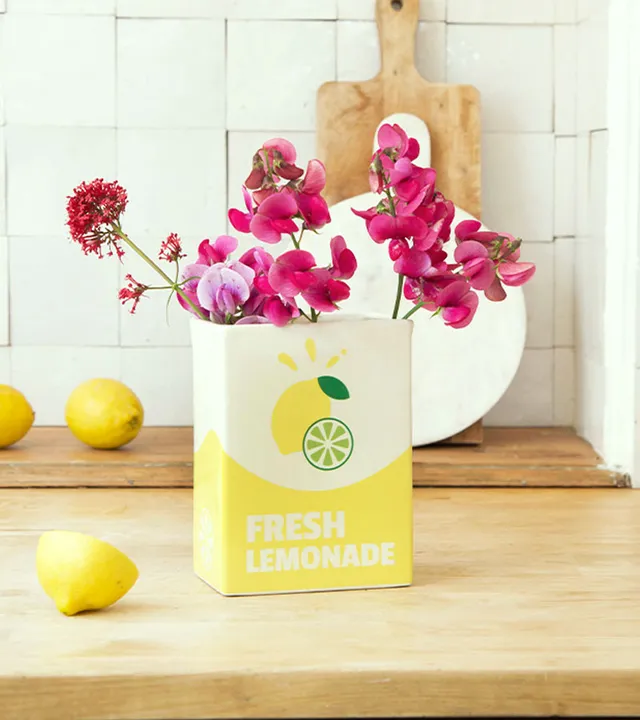 L'avant gardiste Vase Fresh Limonade brique déco pop