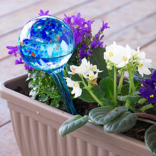 Shop-Story Maison Globes Arrosage Automatique Verre Lot 2