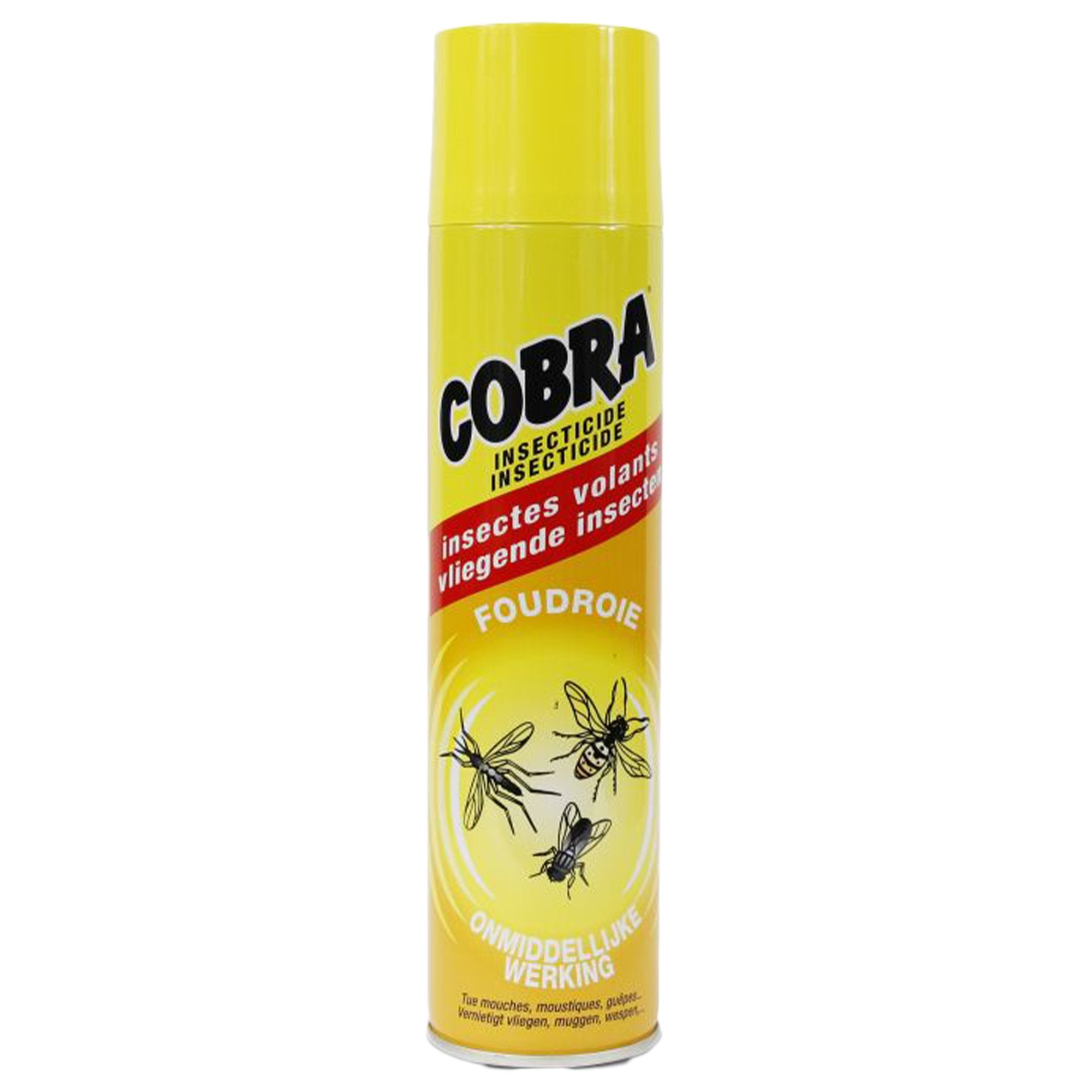Spray répulsif insectes volants maison mouches