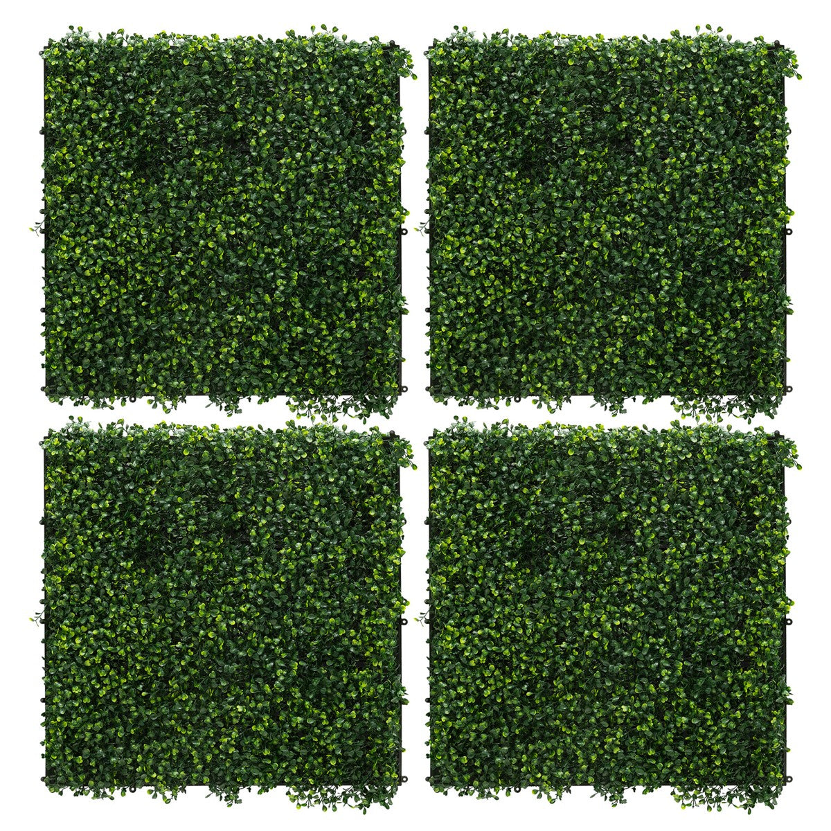 ECD Germany Haus Wohnen Mur Végétal Buxus 4x50x50