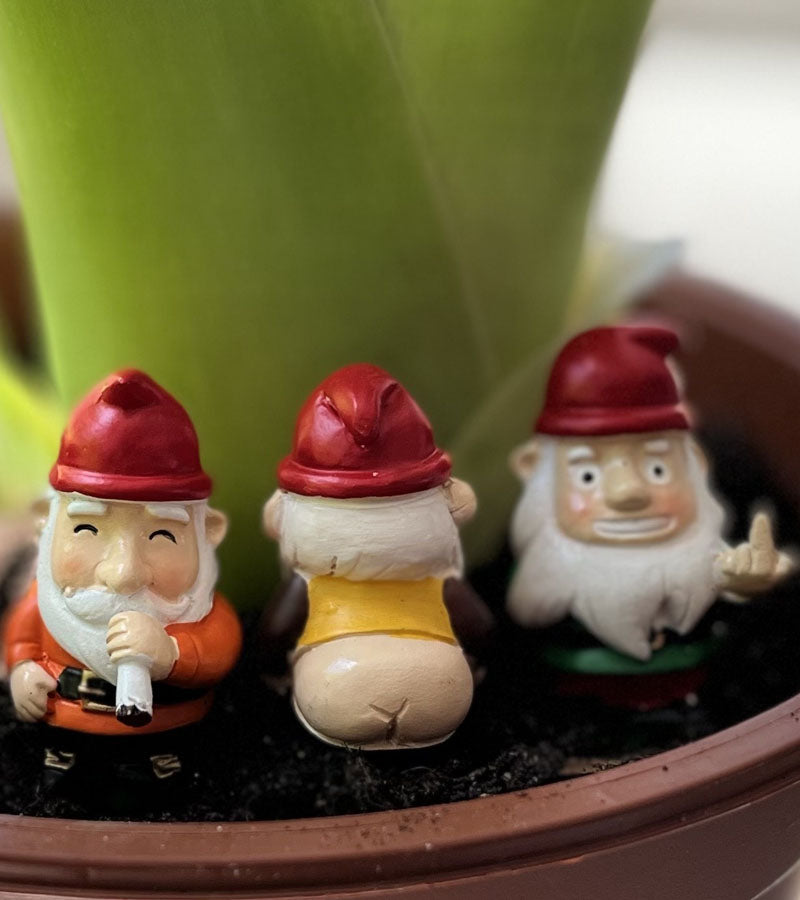 L'avant gardiste Outdoor mini gnomes jardin effrontés