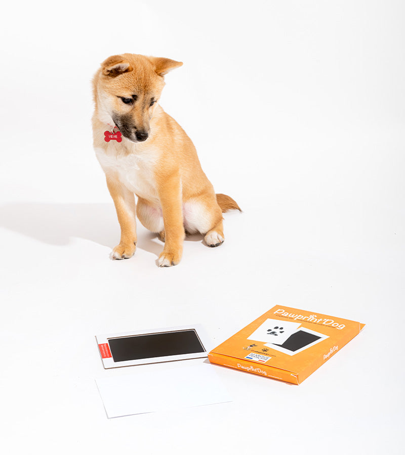 L'avant gardiste Lifestyle Kit Empreintes Chiens et Chats